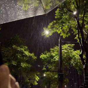 Lingering Drizzle
