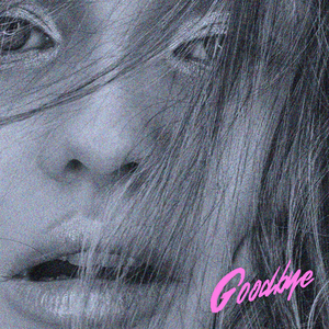 Goodbye (Remix by 19:34)
