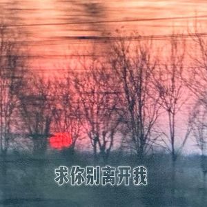 求你别离开我