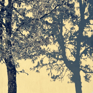 norwegian alphabet song