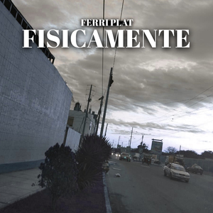 Fisicamente