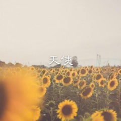 我可以送你回家吗