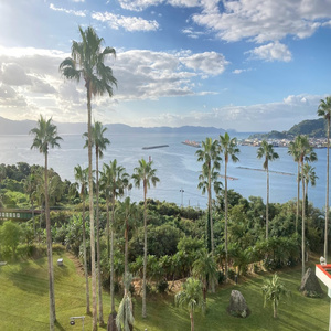 さよならのマドンナ