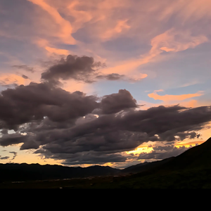 总有一天你会出现在我身边