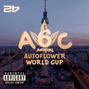 Autoflower Cup