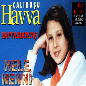 Gönlüm (Sevdan ile Aşkın ile)