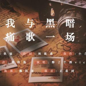 我与黑暗痛歌一场