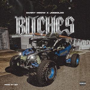 BITCHES (feat. Joeboloo)