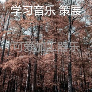 柔和的正在学习时刻