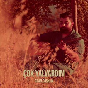 Çok Yalvardım