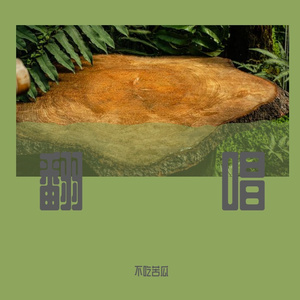 莫文蔚-忽然之间（不吃苦瓜 remix）