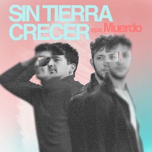 Sin Tierra Crecer