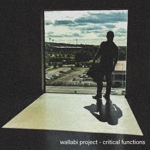 Critical Functions