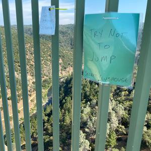 Minotaurs (And Dogs)