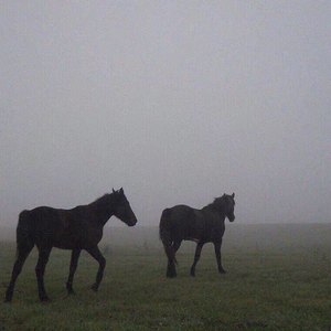 群星-爱与诚（达长江 remix）