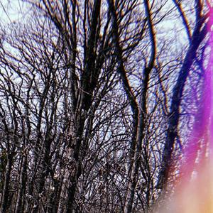 UGLY (feat. YvngCrow)