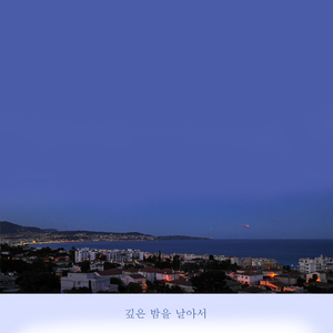 깊은 밤을 날아서