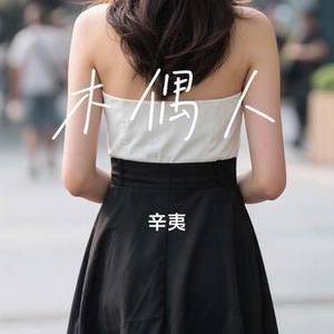 木偶人