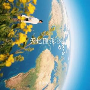 天地懂我心 (Cover 铁柱 & 林雪儿)