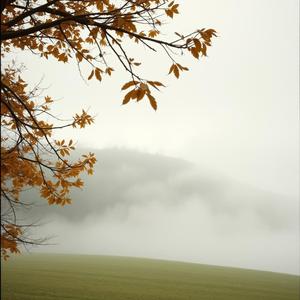 Ci Riscaldiamo A Vicenda