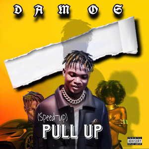 Pull Up ((speed-up))