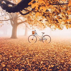 《生命中最美的意外》Demo-张帅