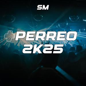 TU QUIERES DURO +PERREO 2K25