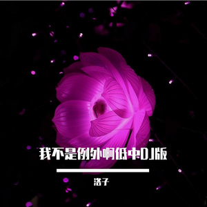 我不是你的例外啊低中版DJ