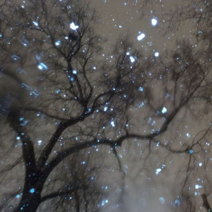 （民族）鸿古尔-117bpm-c#min.mp3