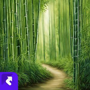 竹林深处的宁静 (现场)