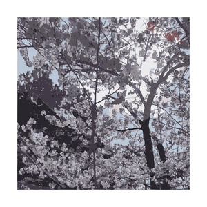 Drawing Near (Interlude)