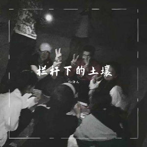 栏杆下的土壤(Pord.by SAXON)