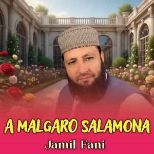 A Malgaro Salamona