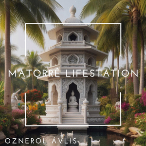 Matorrê Lifestation