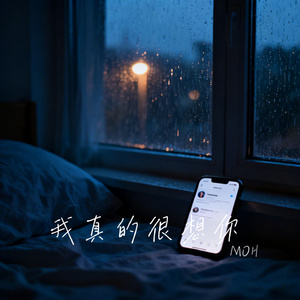 我真的很想你