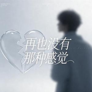 再也没有那种感觉 (烟嗓版)