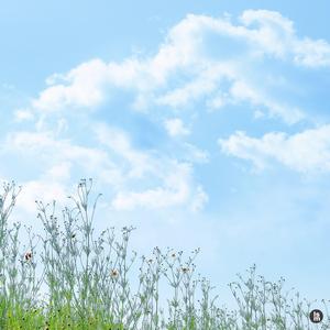 높고 넓은 하늘