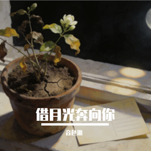 借月光奔向你