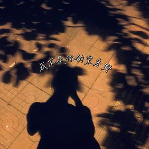 我不是你的宋东野