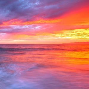 [已售] 落日飞车