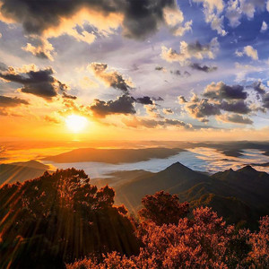 大自然的睡眠之声