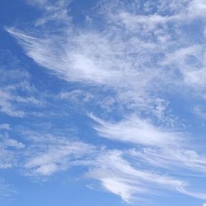 Nasz sierpień (Polish Version)