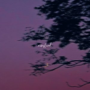 木讷的树啊自由的风