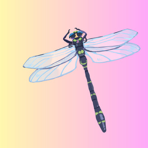 Apasalahe (Remastered 2024)