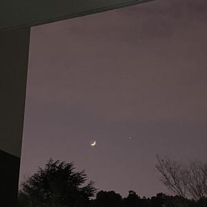 失忆（cover：吕口口）