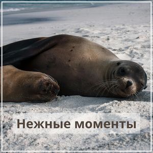 Сила единства