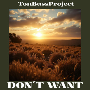 Don't Want (Original Mix)