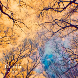 Cradle