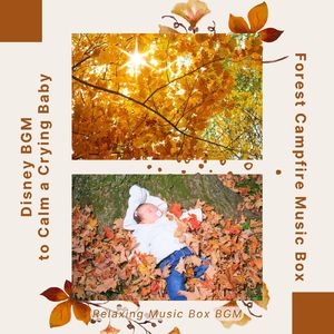 日差しを浴びて～森の焚き火オルゴール～ (Cover)