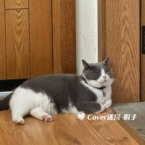 迷宫（Cover依加）